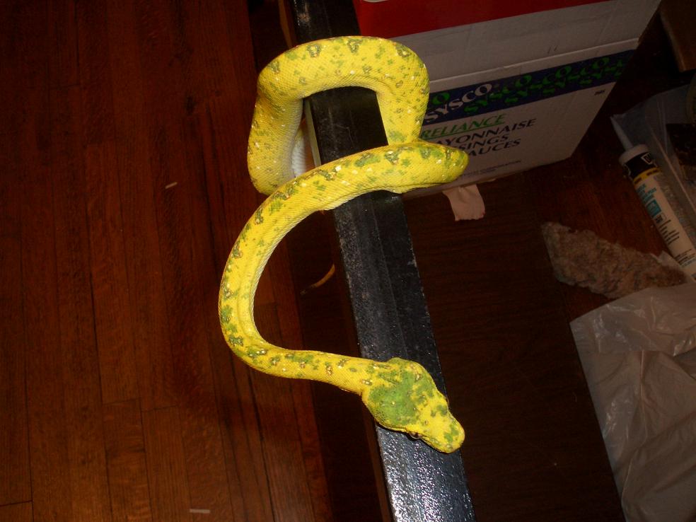 LENGTH11
