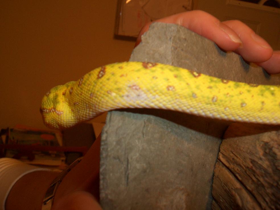 LENGTH11