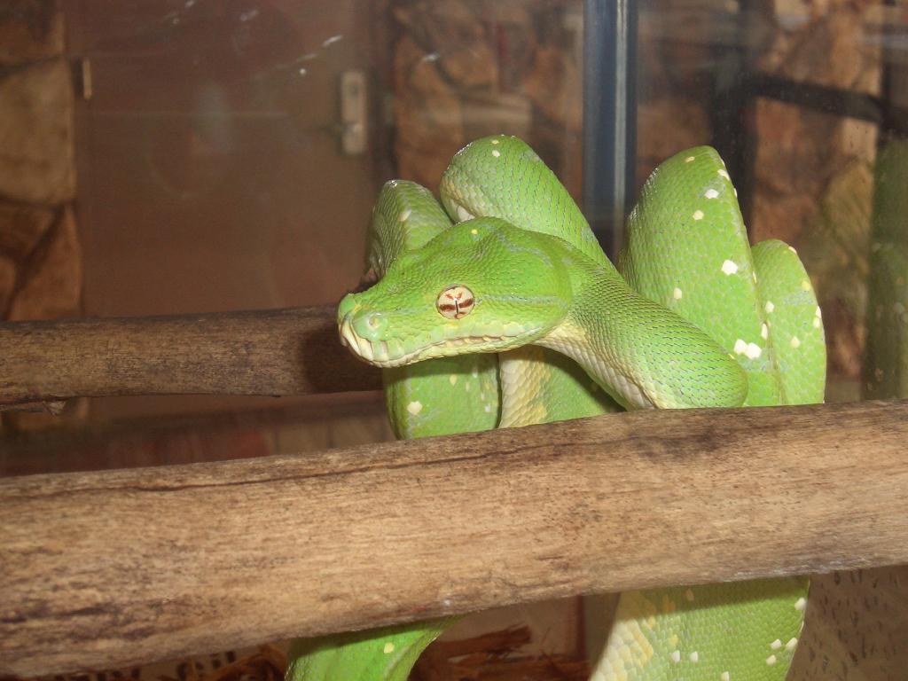 Omaha Zoo
