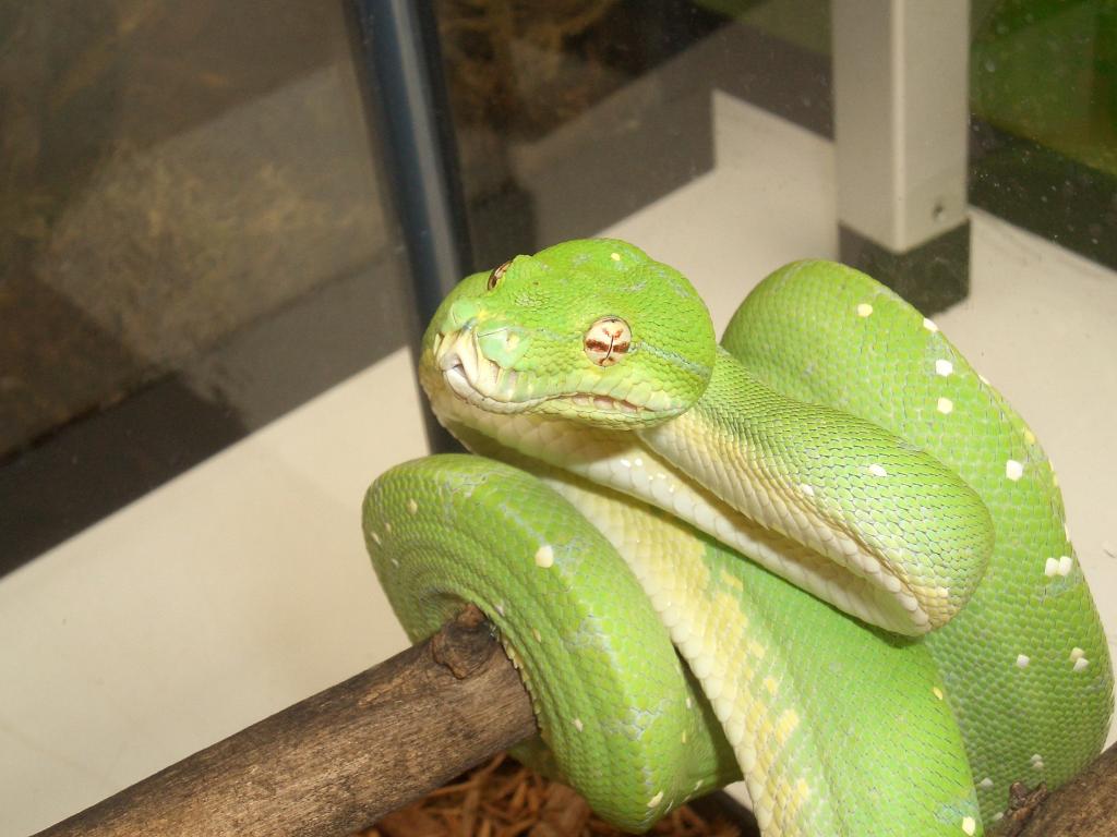 Omaha Zoo
