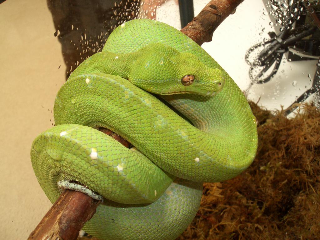 Omaha Zoo