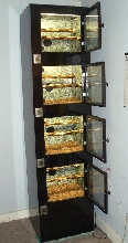 final cage
