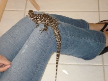on my knee