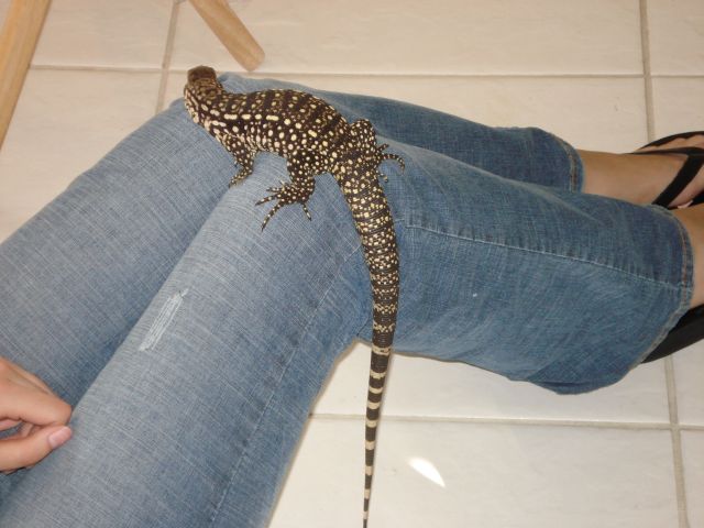 on my knee
