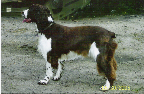 left side view
