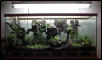 55 Gallon Front