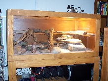 Uro Cage1