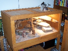 Cage