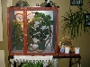 my females enclosure