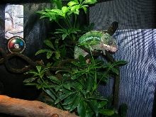maro 5monthes resting