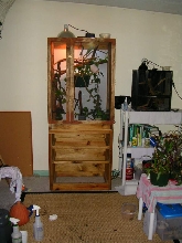 my males cage