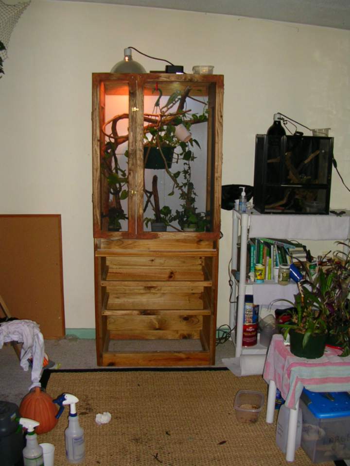 my males cage