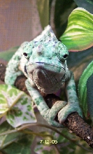 Just chillin'