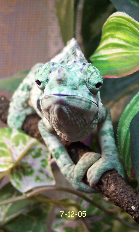 Just chillin'