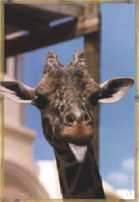Yeah, here's your smile!