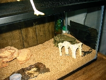 Nero's Home