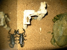 Nero and his Dinner 1