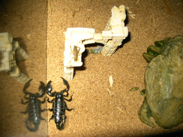 Nero and his Dinner 1