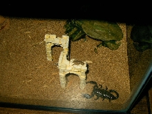 Nero and his Dinner 3