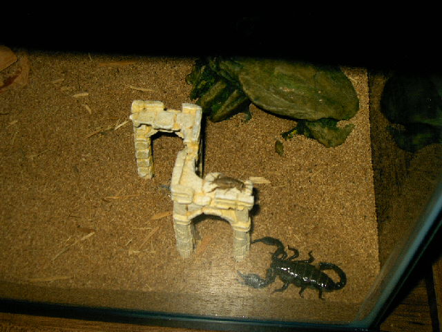 Nero and his Dinner 3
