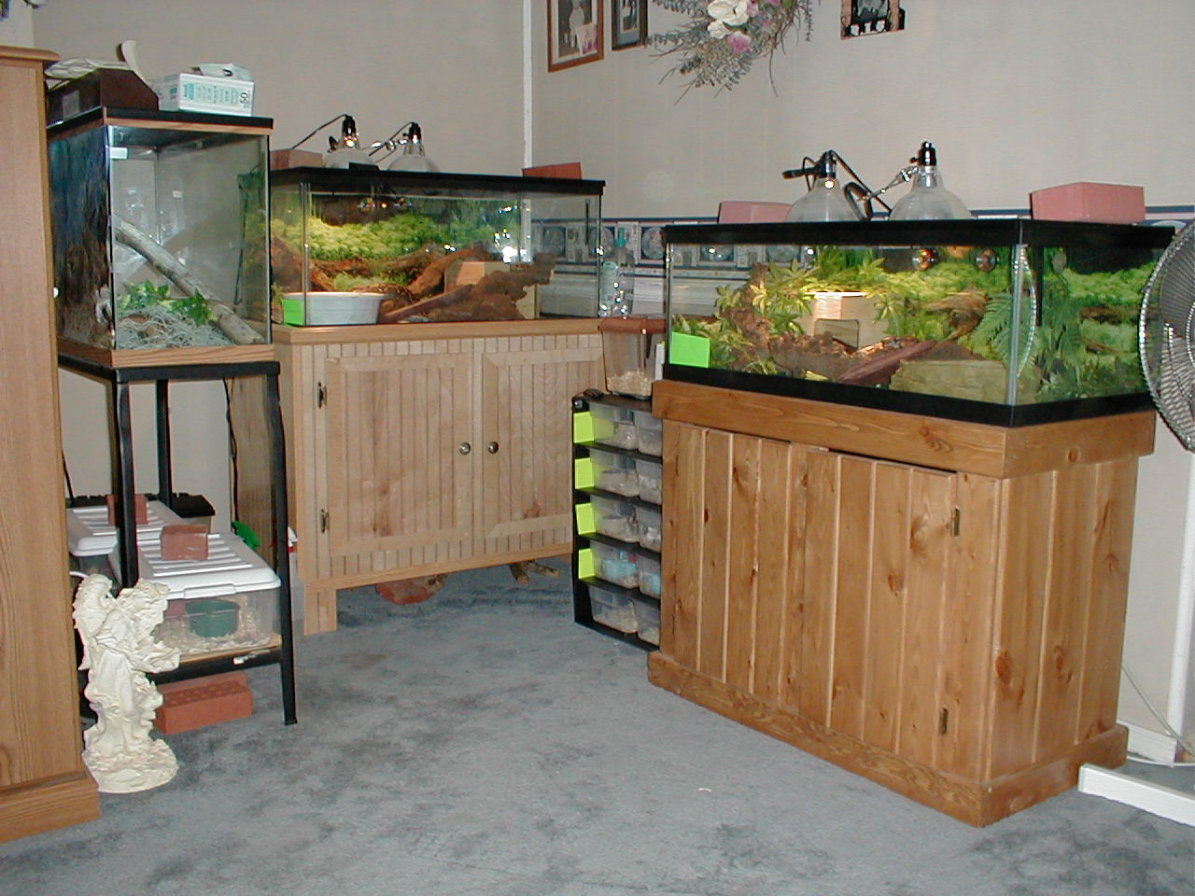 My Herp area in my home