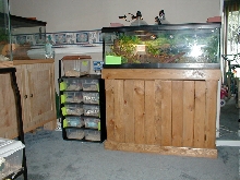 Another view my herp area
