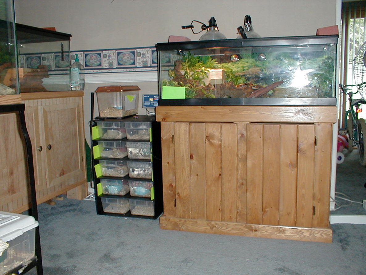 Another view my herp area