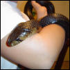 Shadrack