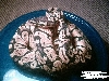 05 Hatchlings