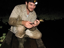 Baby Black Caiman