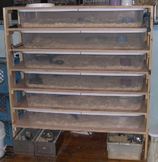 new rack
