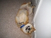 Rub me
