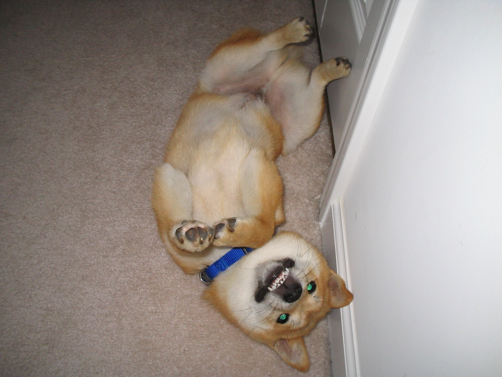 Rub me