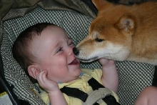 Copper&Landon