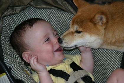Copper&Landon