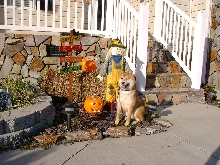 Fall is here