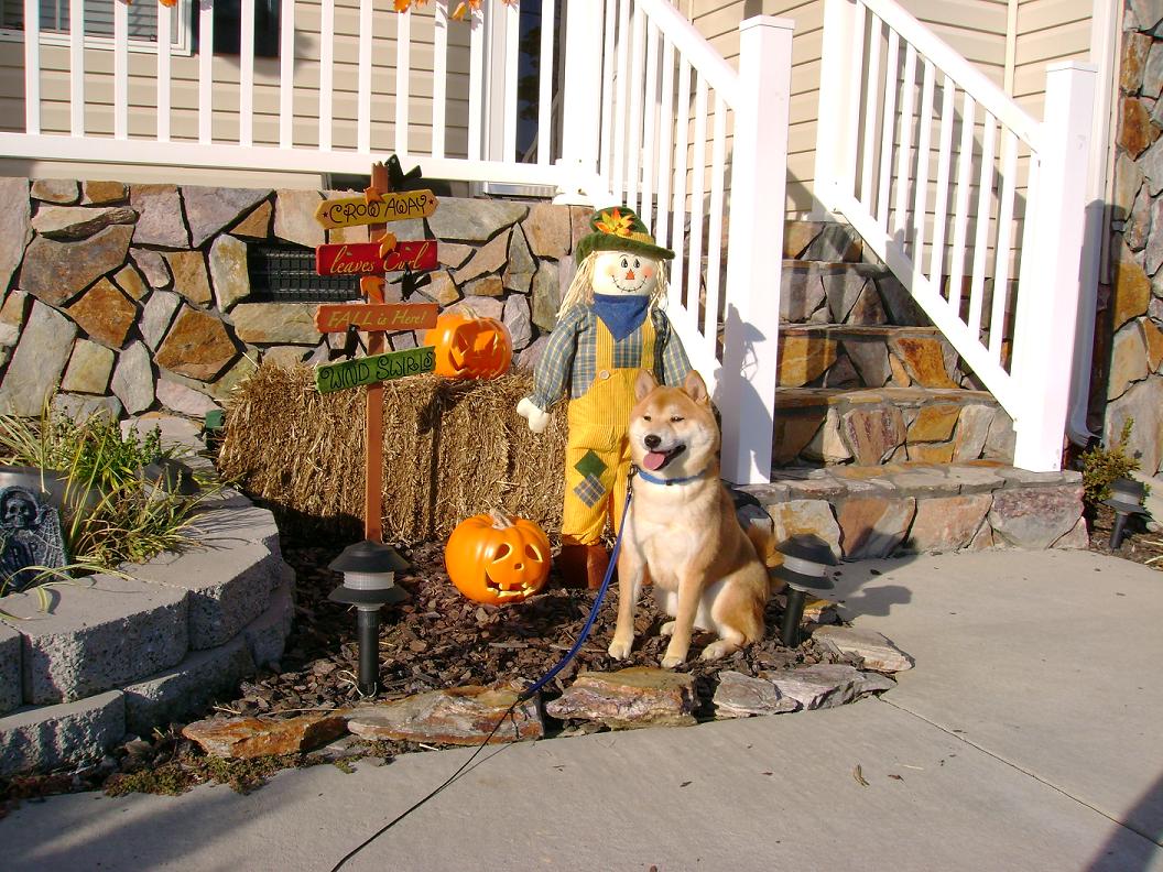 Fall is here