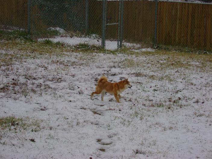 copper snow 1