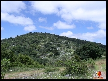 Alvarez, Valle de las Fantasmas, SLP, Mex.