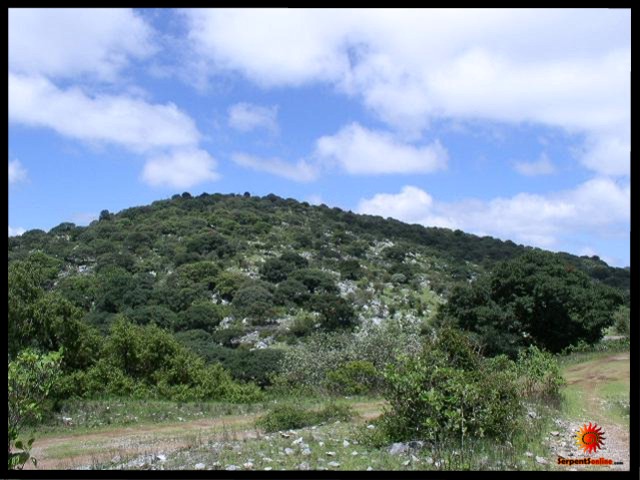 Alvarez, Valle de las Fantasmas, SLP, Mex.