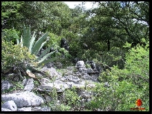 Alvarez_SLP, Mex