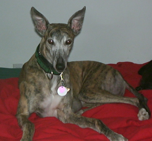Sis Bea N Gloria aka Gravy
