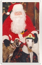 Siblings & Santa