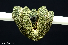KM-06-19
