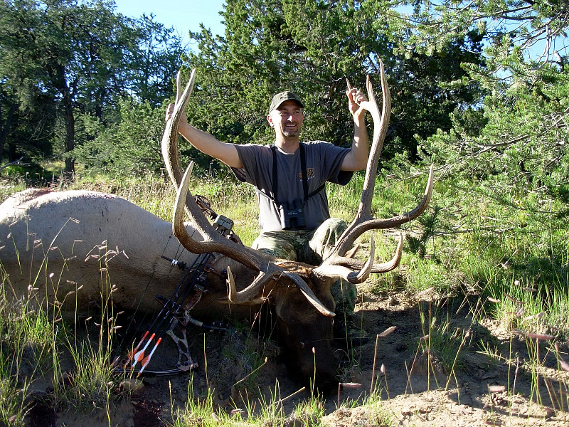 Kirk's Elk
