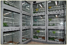 Vison 222 Cages