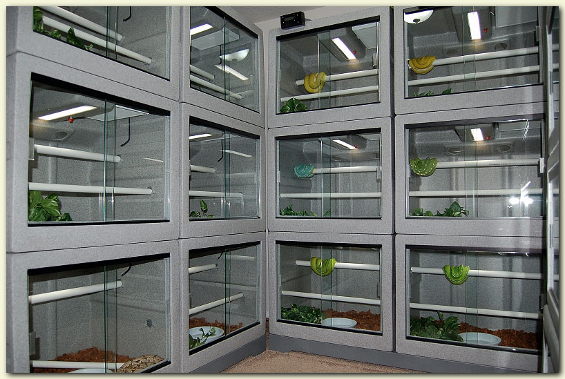 Vison 222 Cages