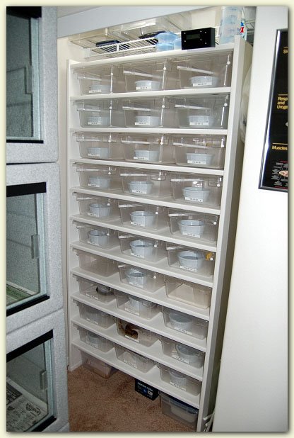 Habitat System Rack