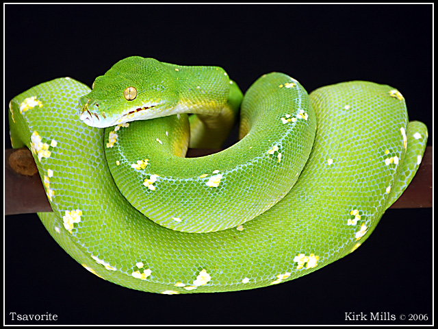 Tsavorite