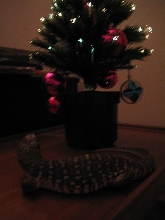 Dagon's By Her X Mas Tree